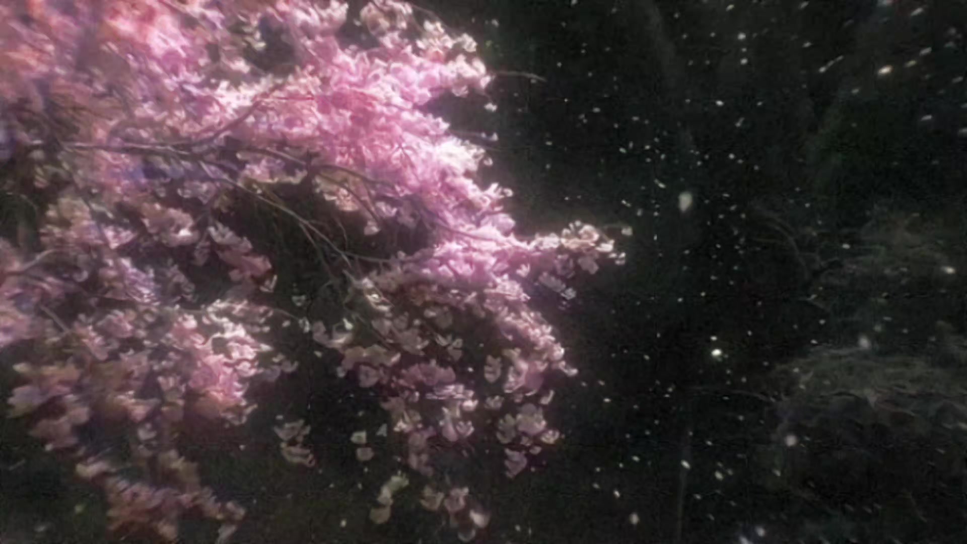 @𝒶𝓁𝒾𝓈𝒽𝒶