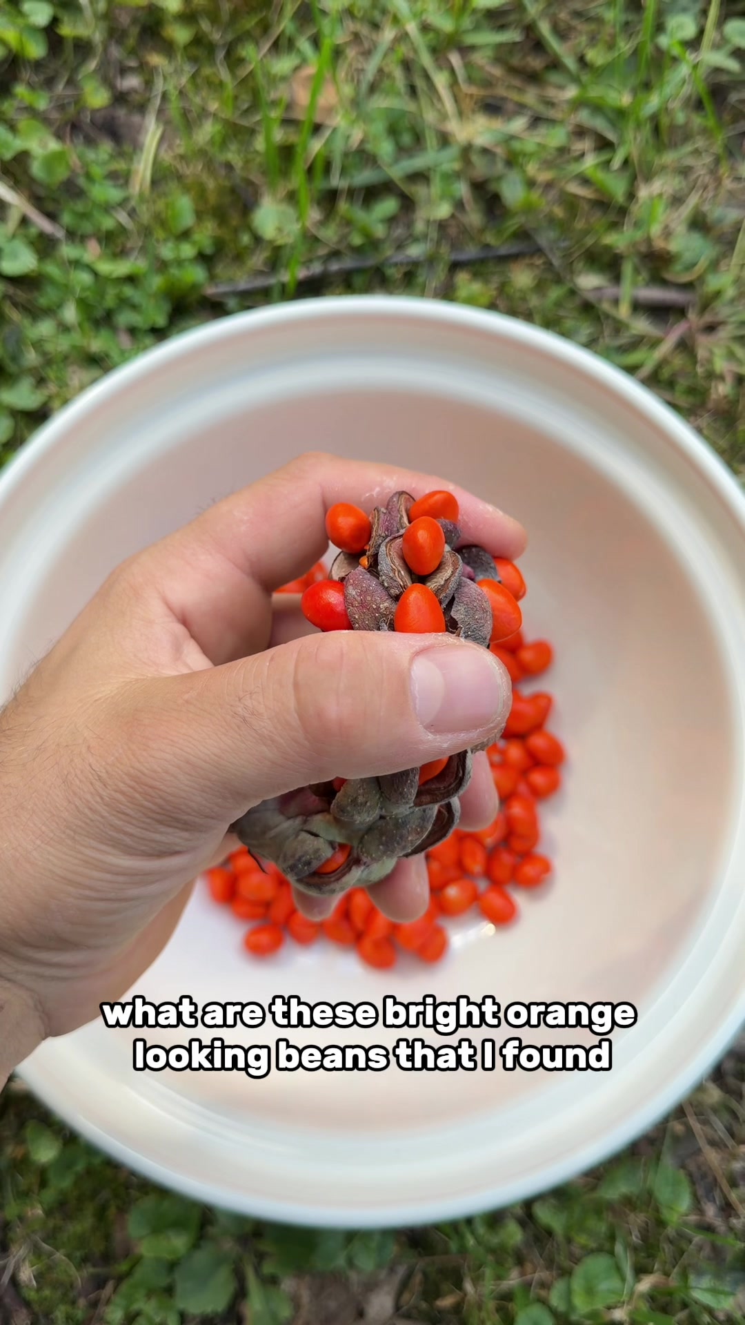 @The Goldfish Guy