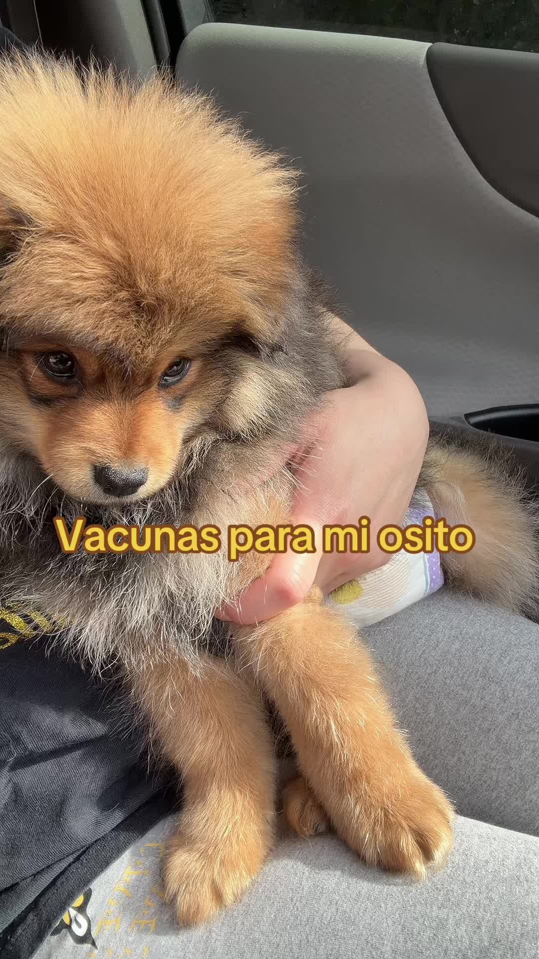 @Ali Guerrero