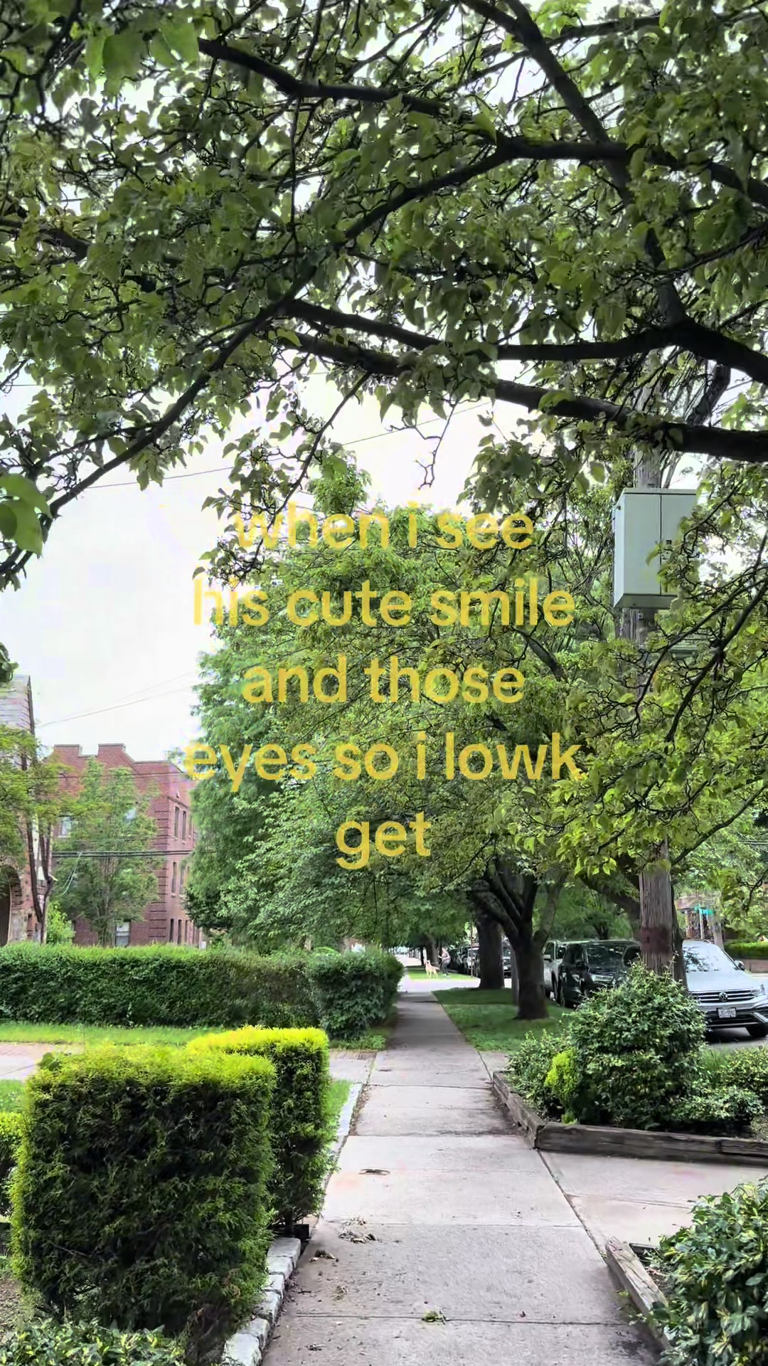 @jihae