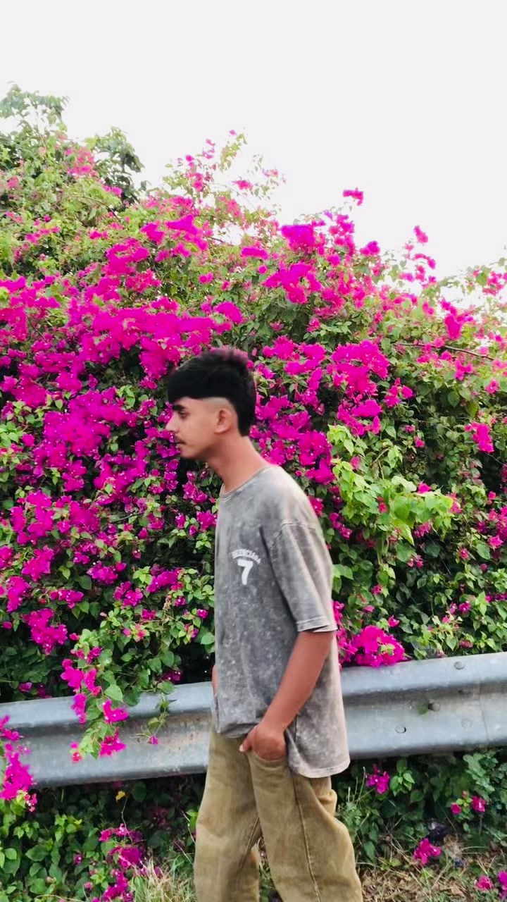 @🌀⚜️