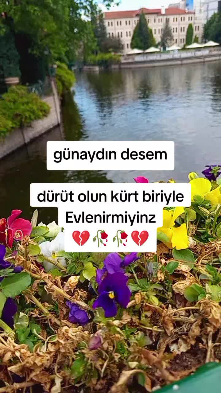 @mizgin