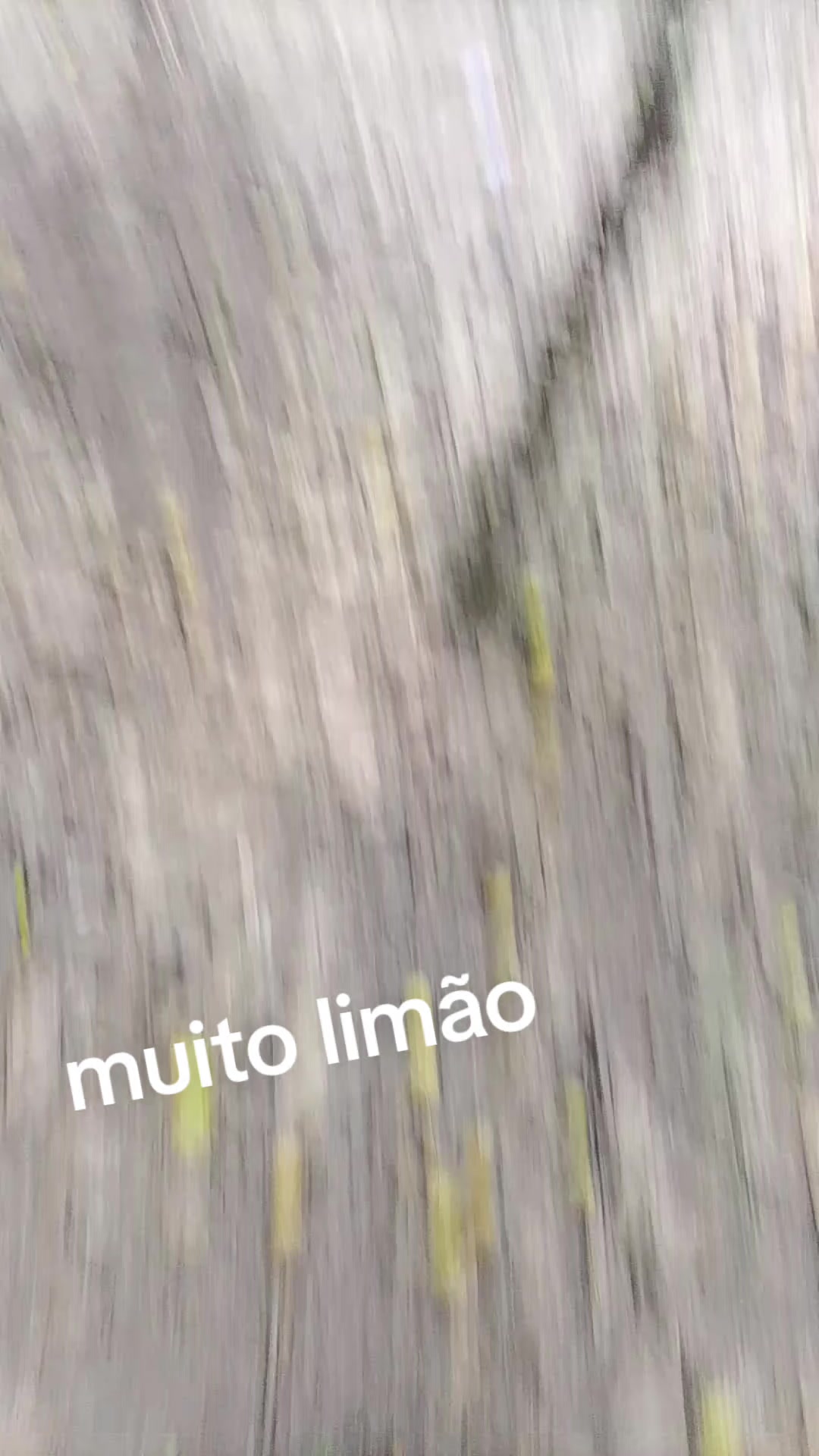@Cassia Lopes999
