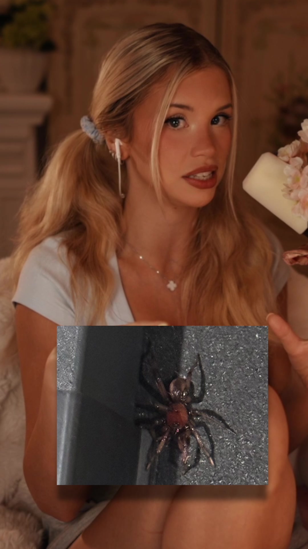@Berticuss