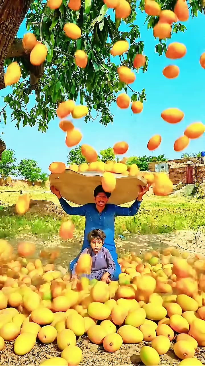 @Team Saifulla