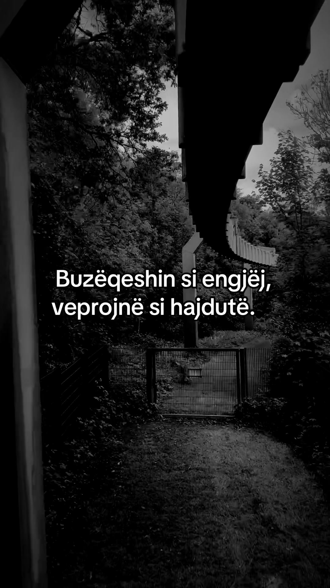 @Ilda_007🇦🇱❤️