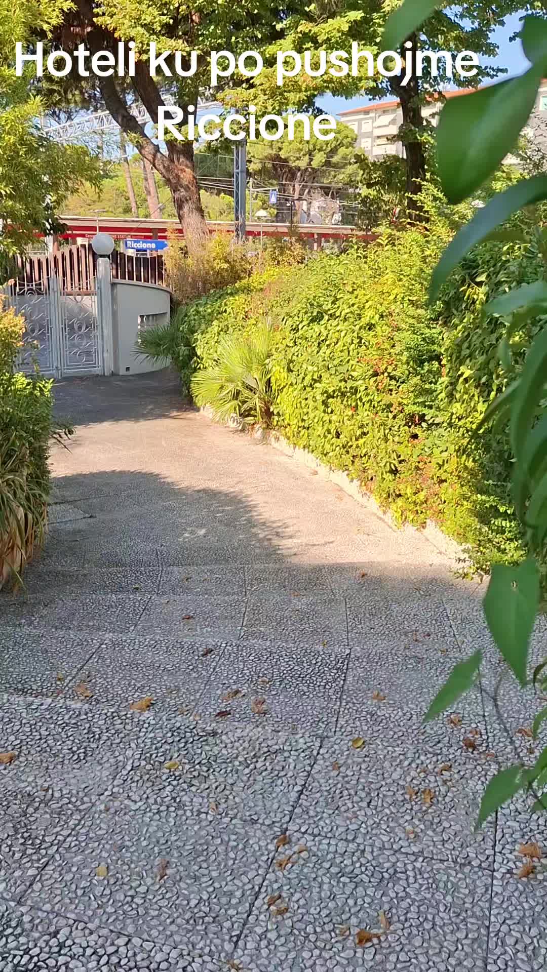 @user4310801871870