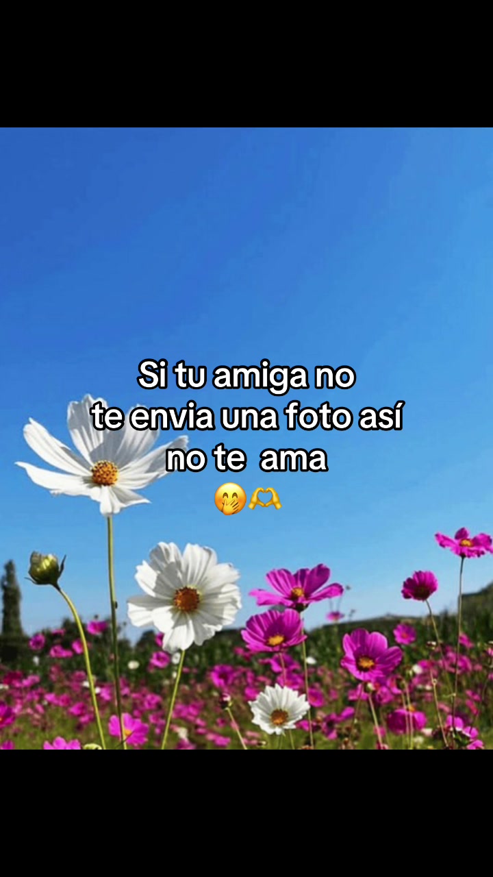 @✨Tu chiquita🌹✨