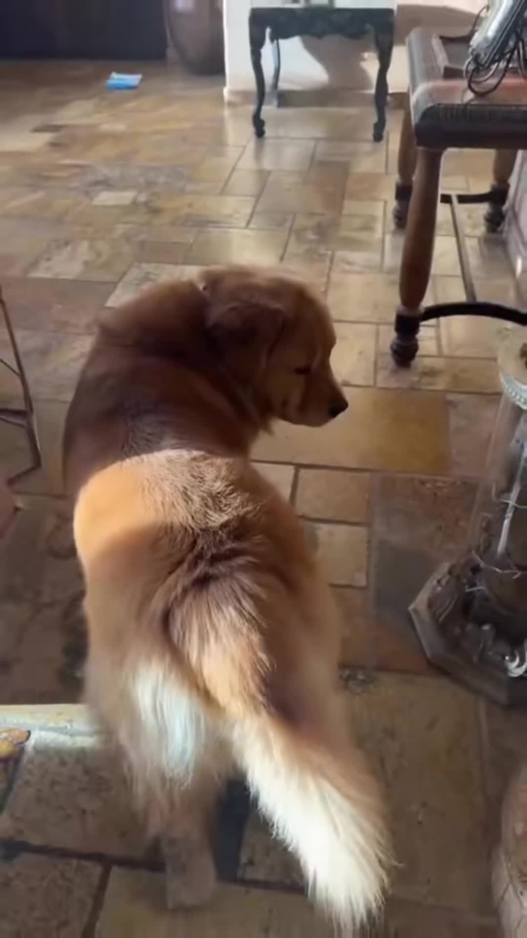 @cuteanimals472