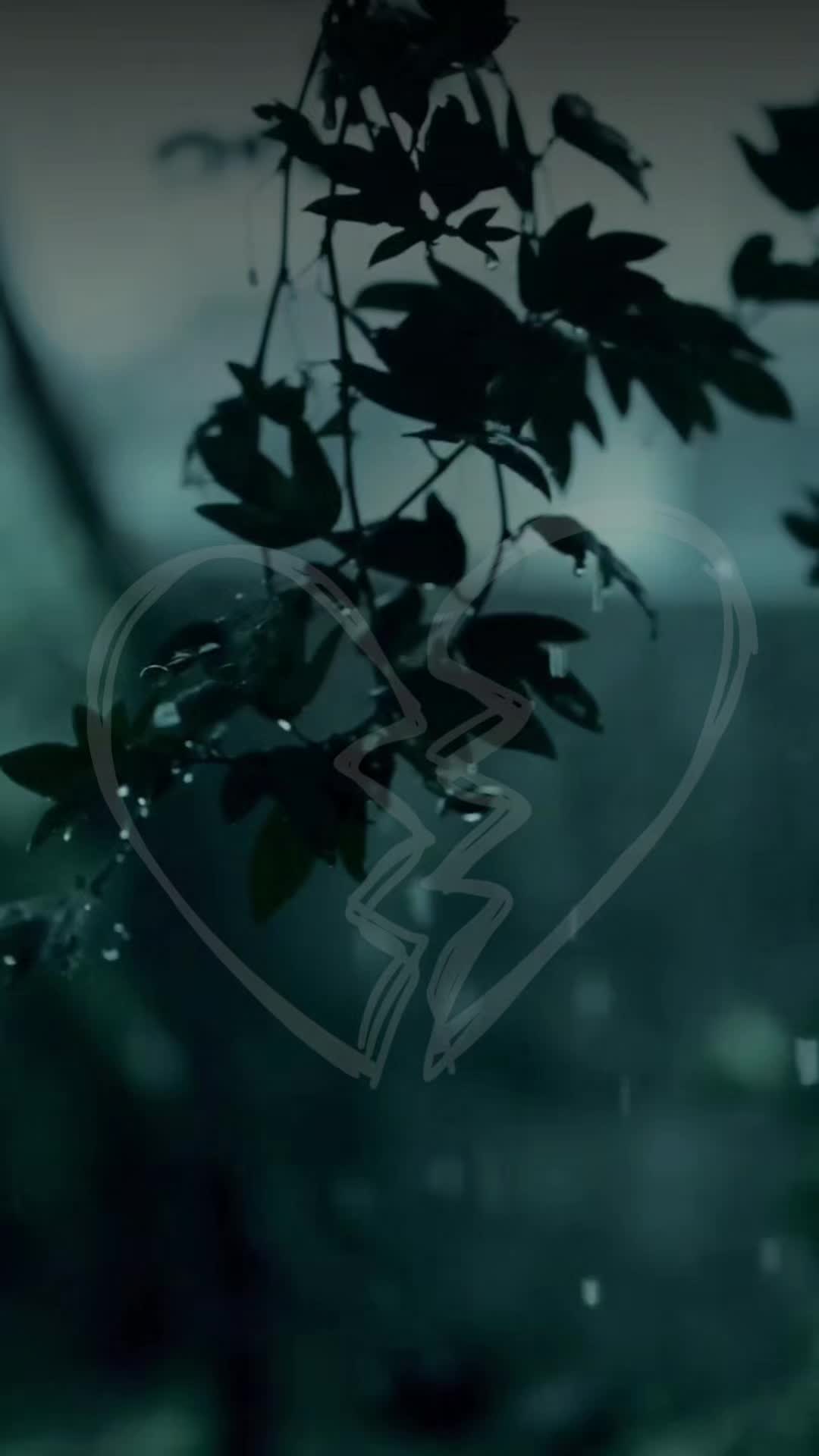 @Joy