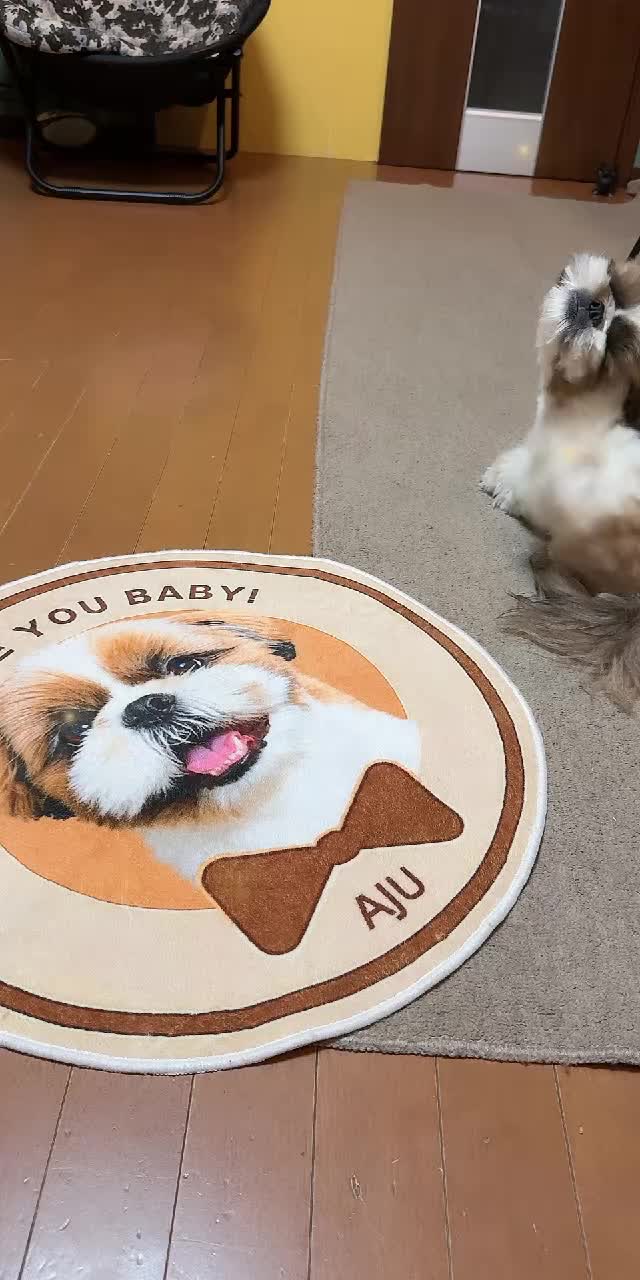 @ni siyu