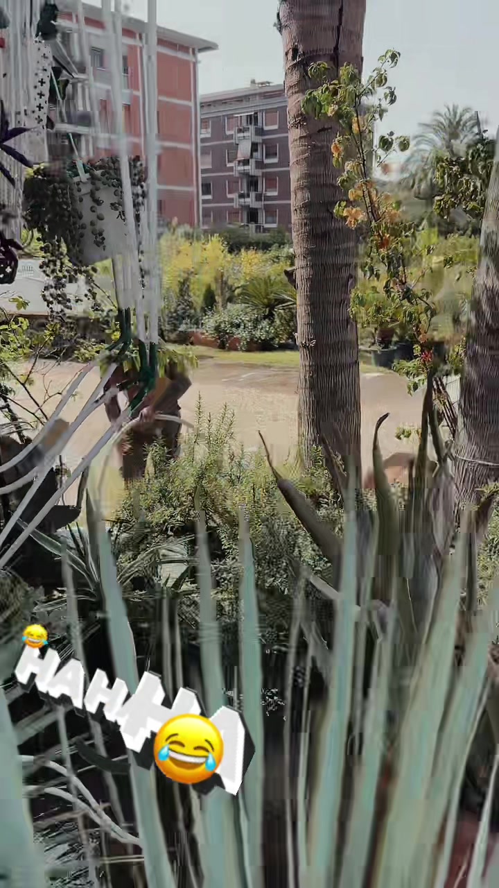 @vivaioanticogarden