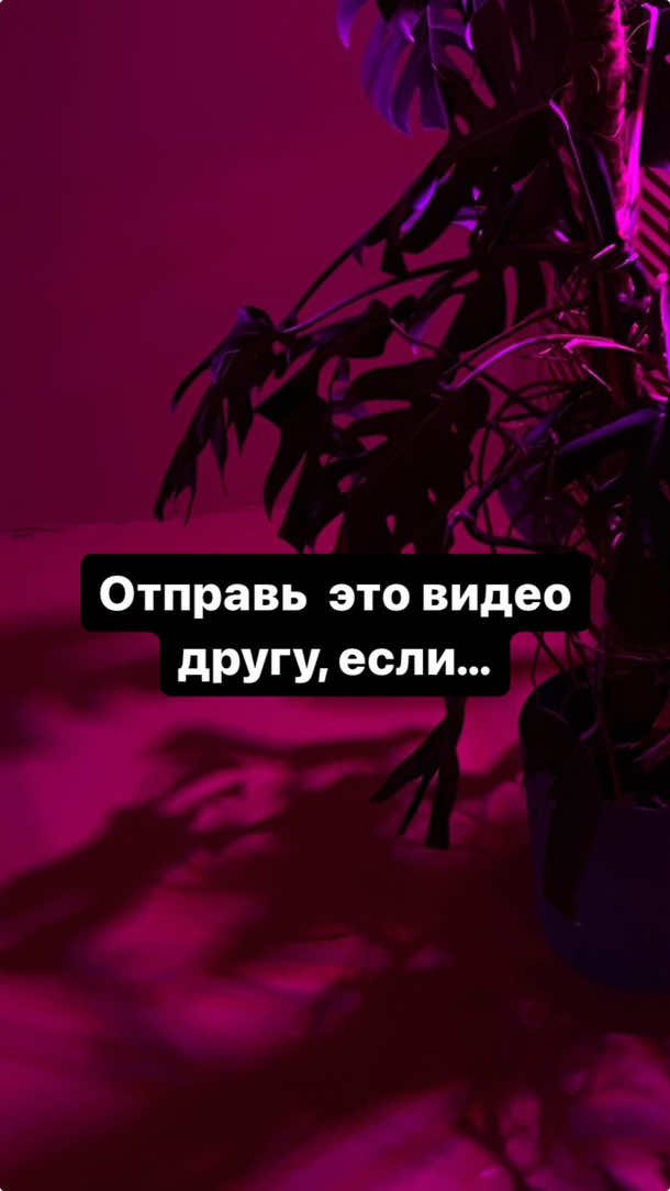@Your PARADOX🖤