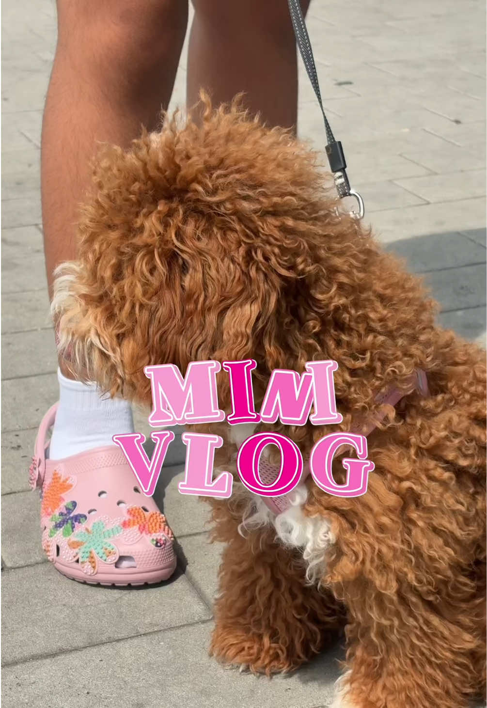 @BIG MUVA💞| Lifestyle Creator