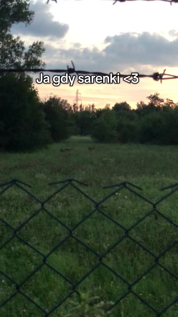 @M⭐️JA
