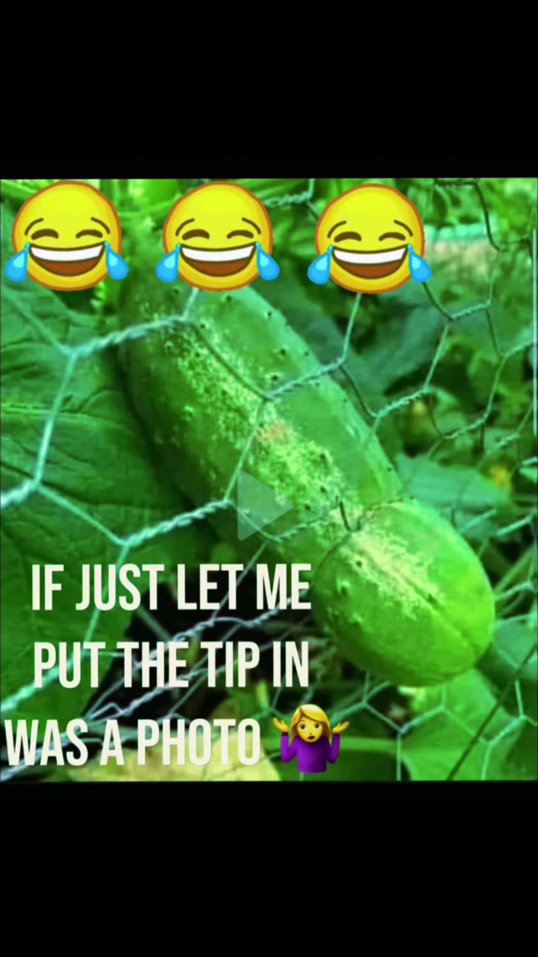 @Mark M