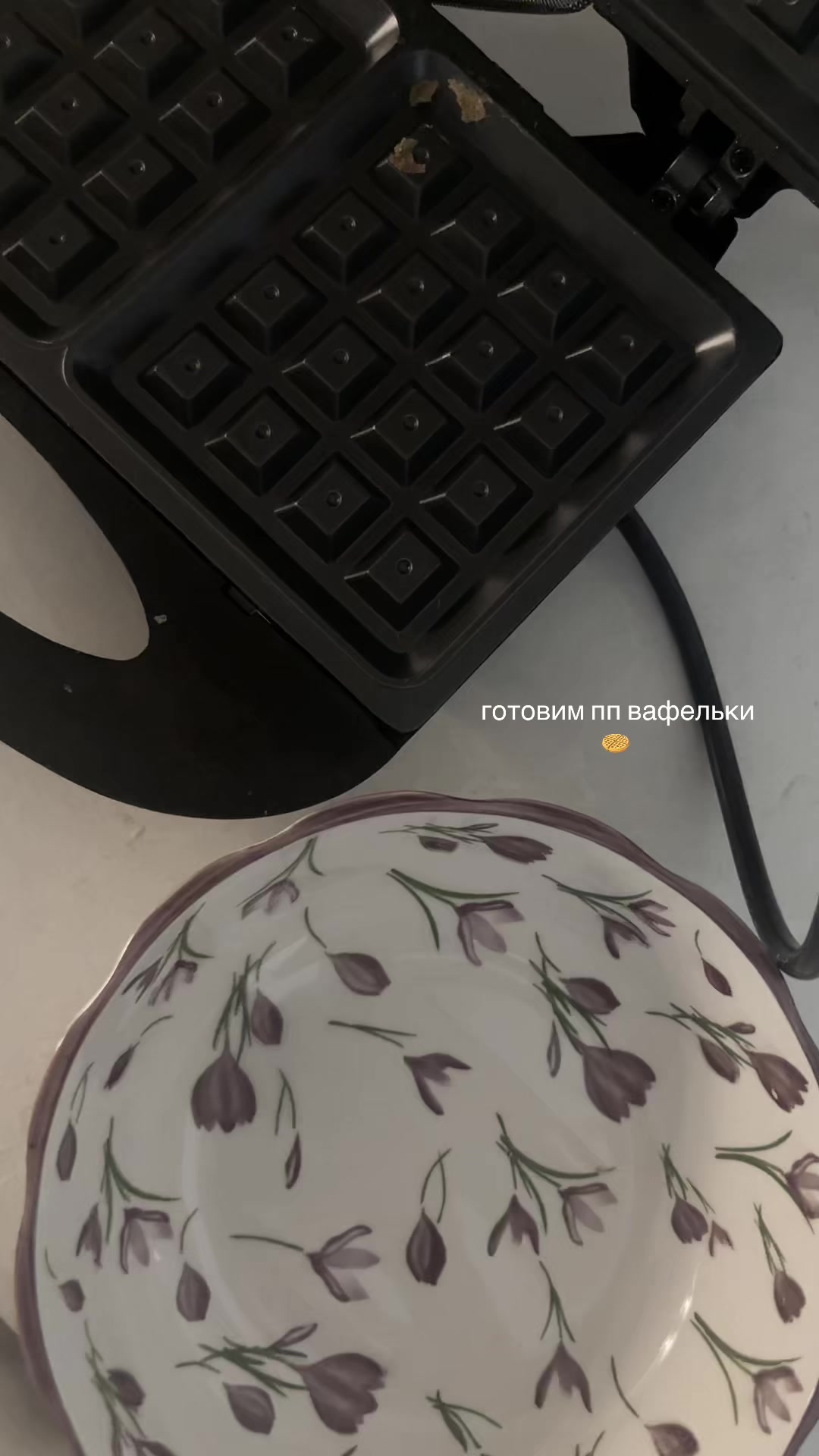 @(_ _).｡o○