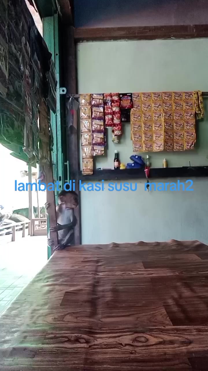 @mariasudarni