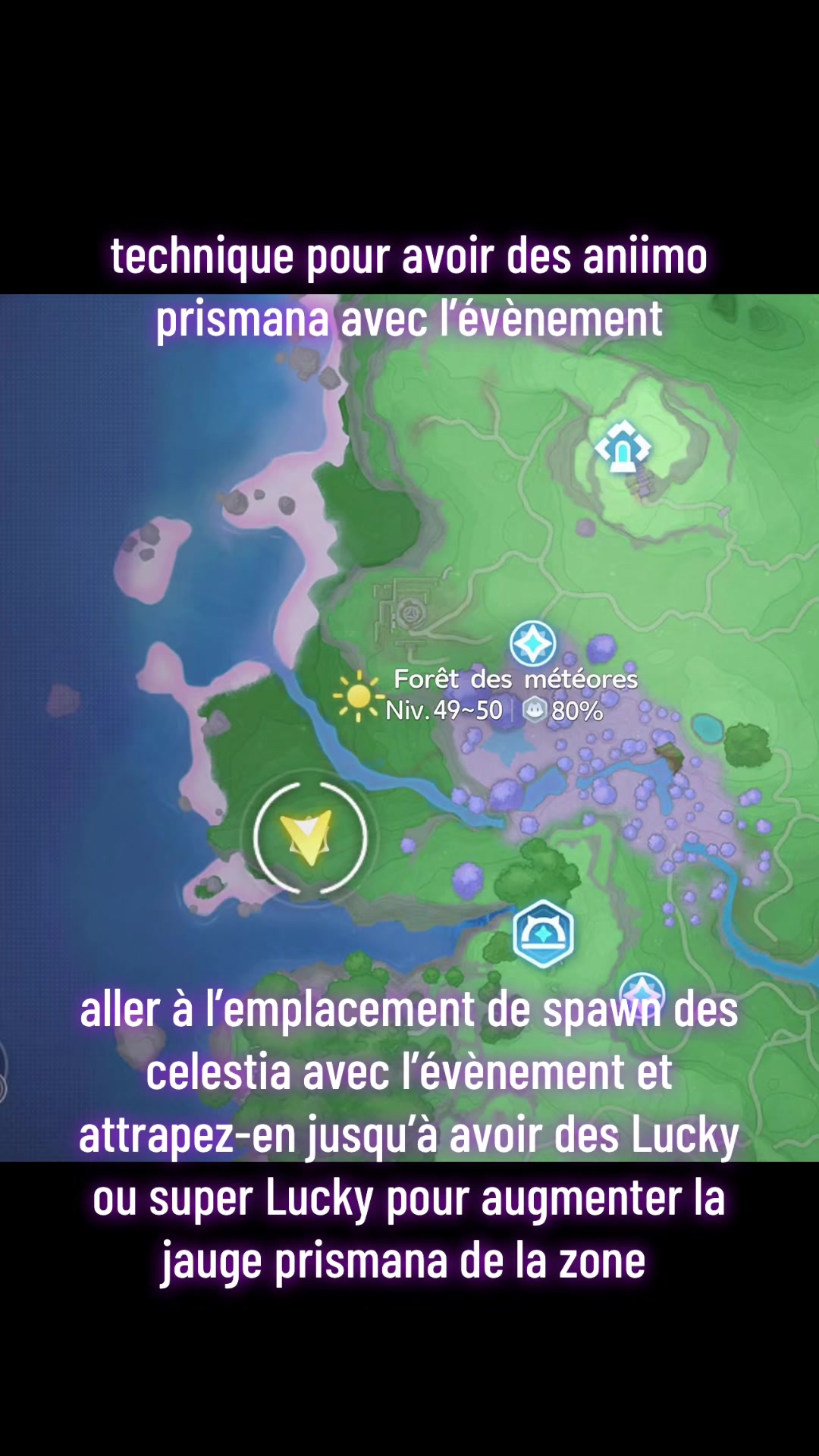 @thomas.n5414
