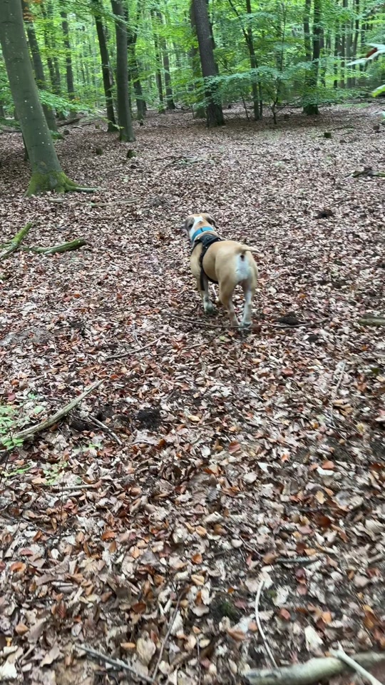 @Mogli🐾