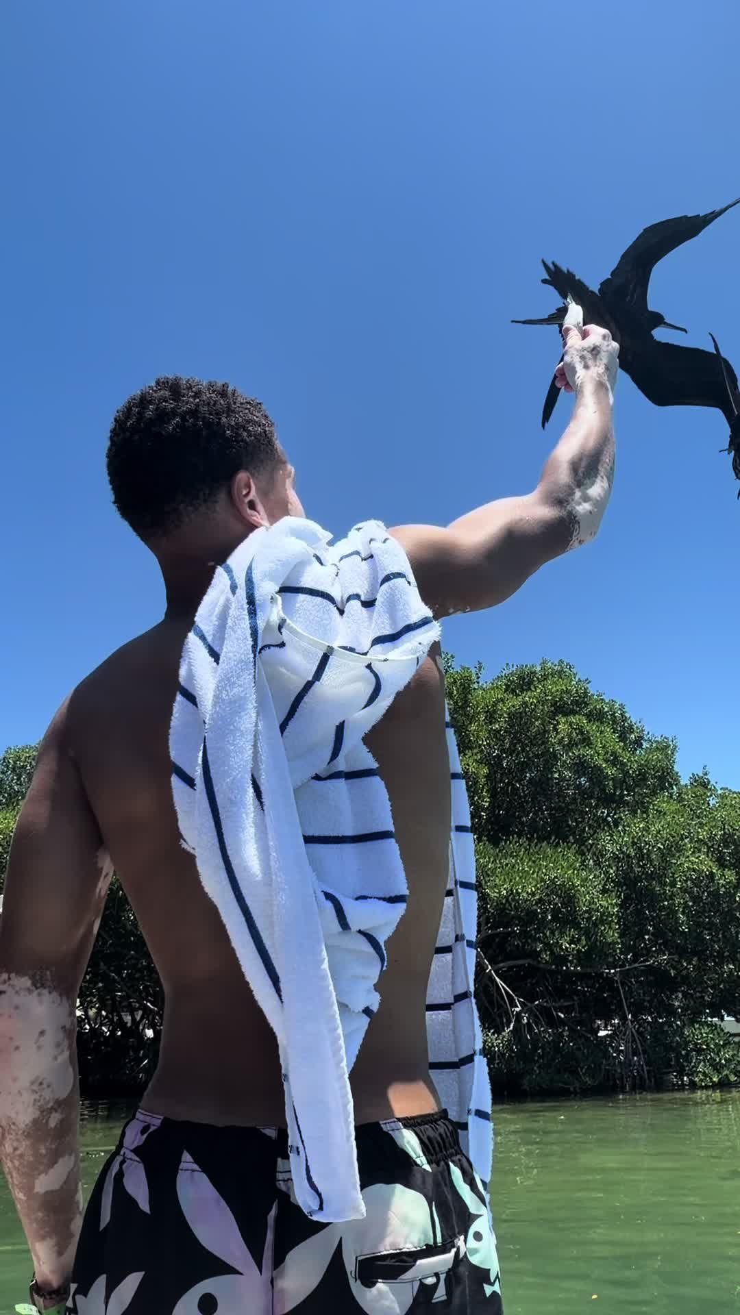 @Nick Zulu