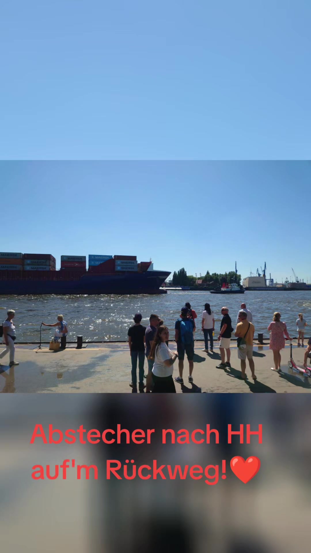 @Horstmannholzgroup