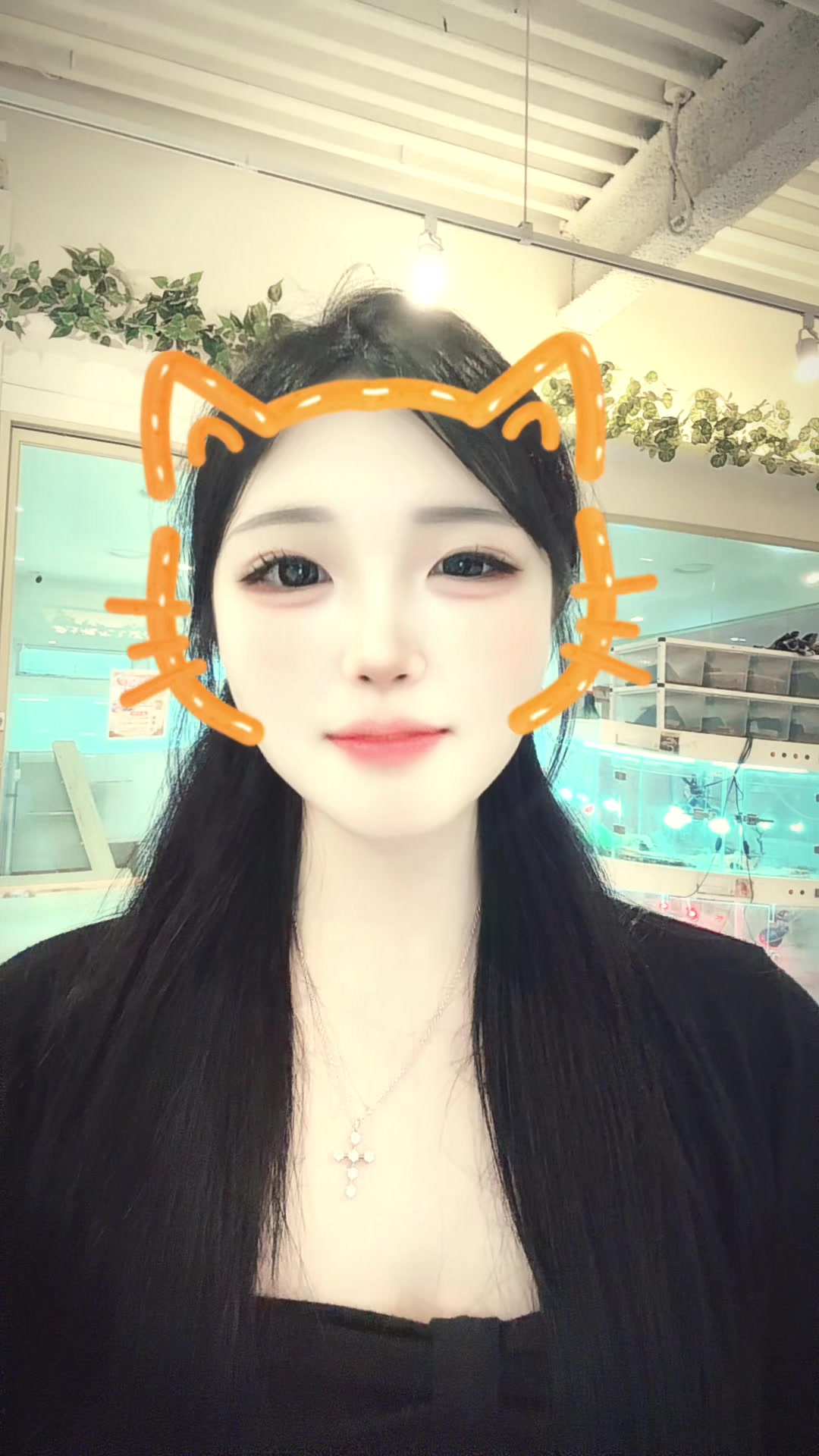 @돌고래