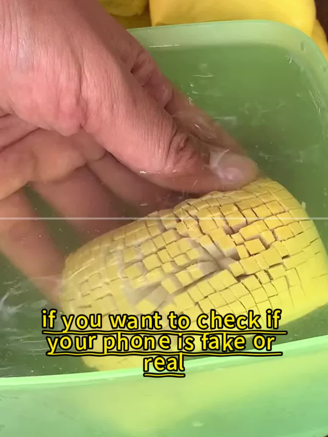 @hghgf75753