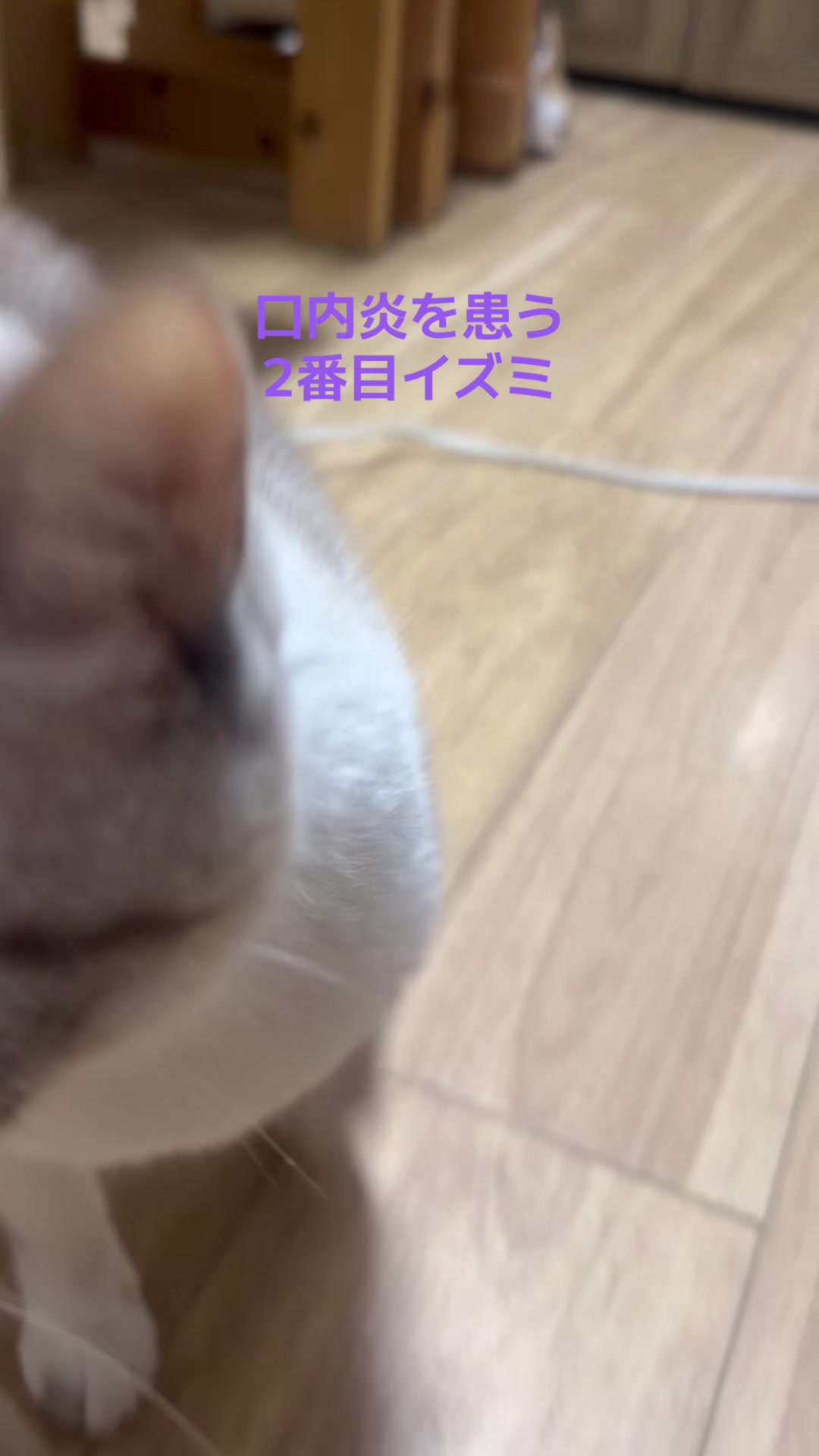 @てるぼー