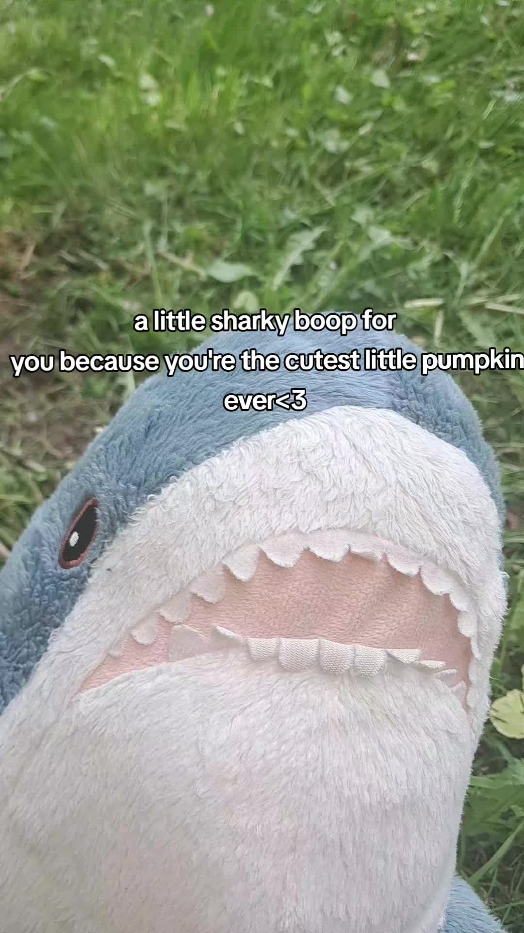 @Willie the Shark <3