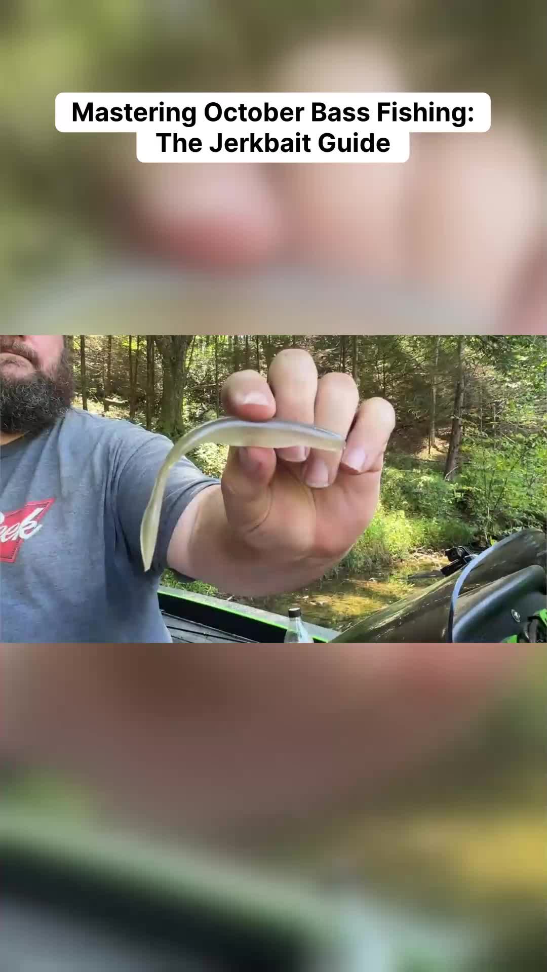 @bassgeek