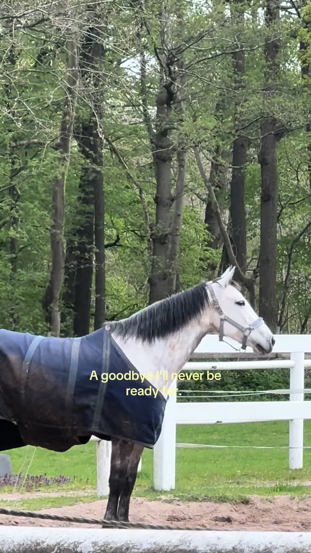 @Marie