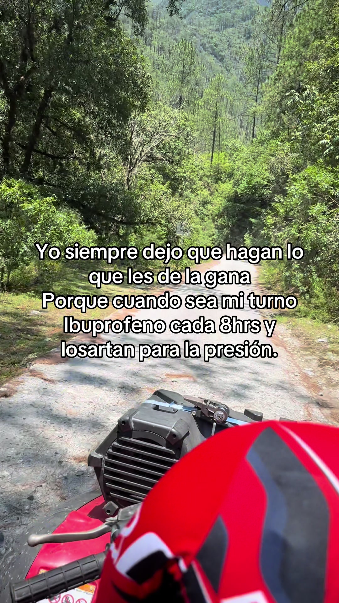 @Liz Gzz