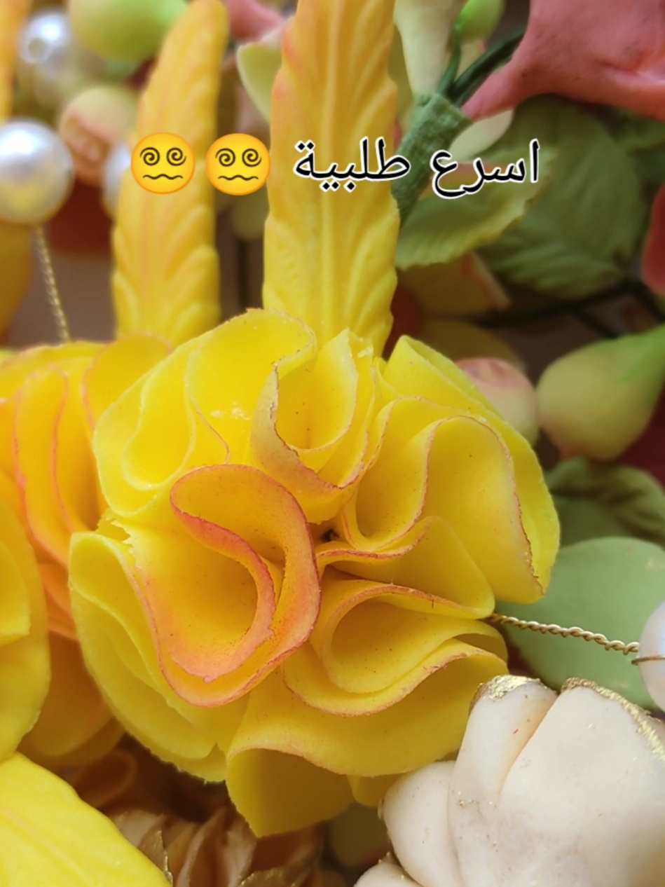 @hanocook