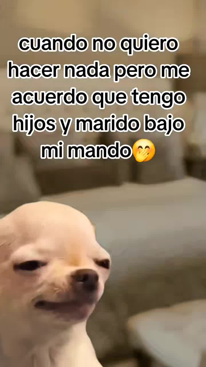 @Manuel❤️ceci