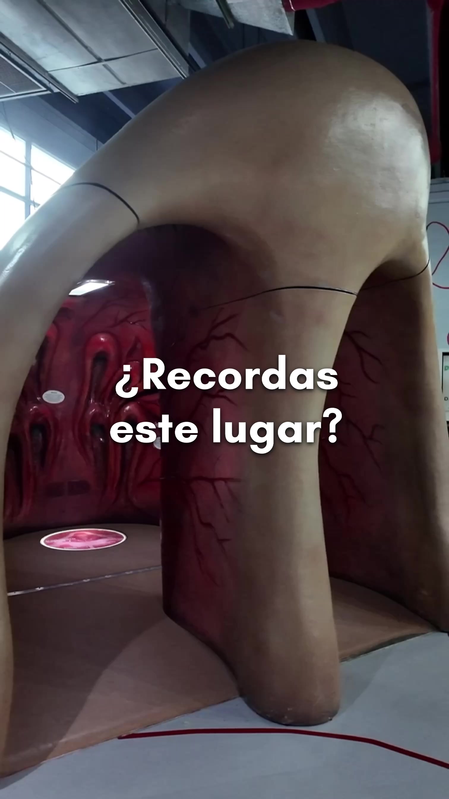 @boyajer
