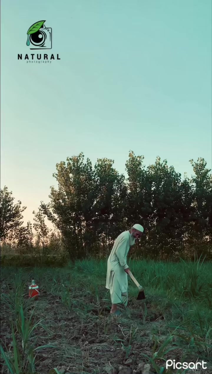 @N A T U R A L🍃