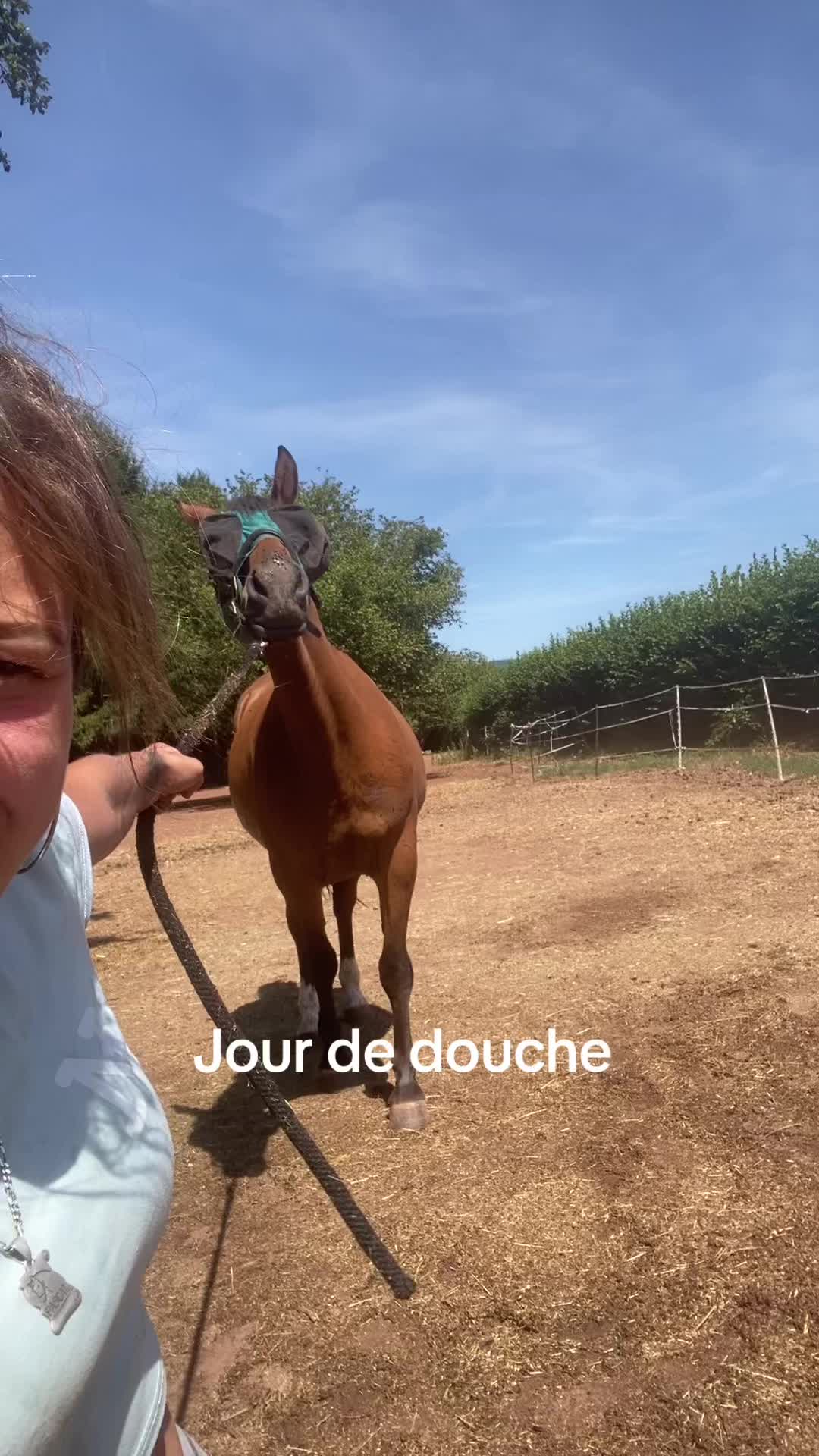 @SarahHemir