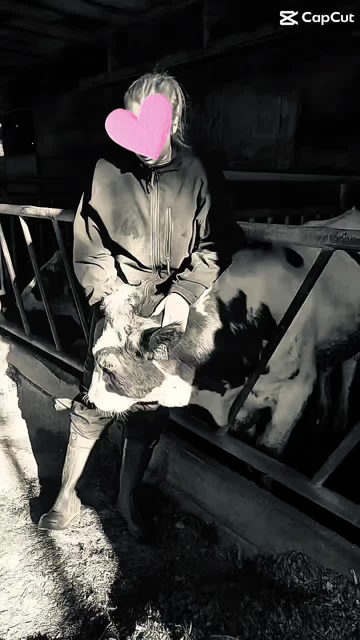 @๐๐ช๐ฝ๐ช๐ต๐ฒ๐ฎโก