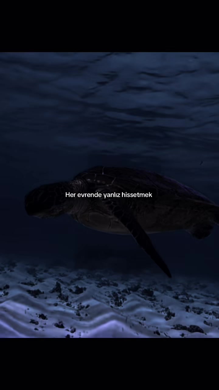 @H.