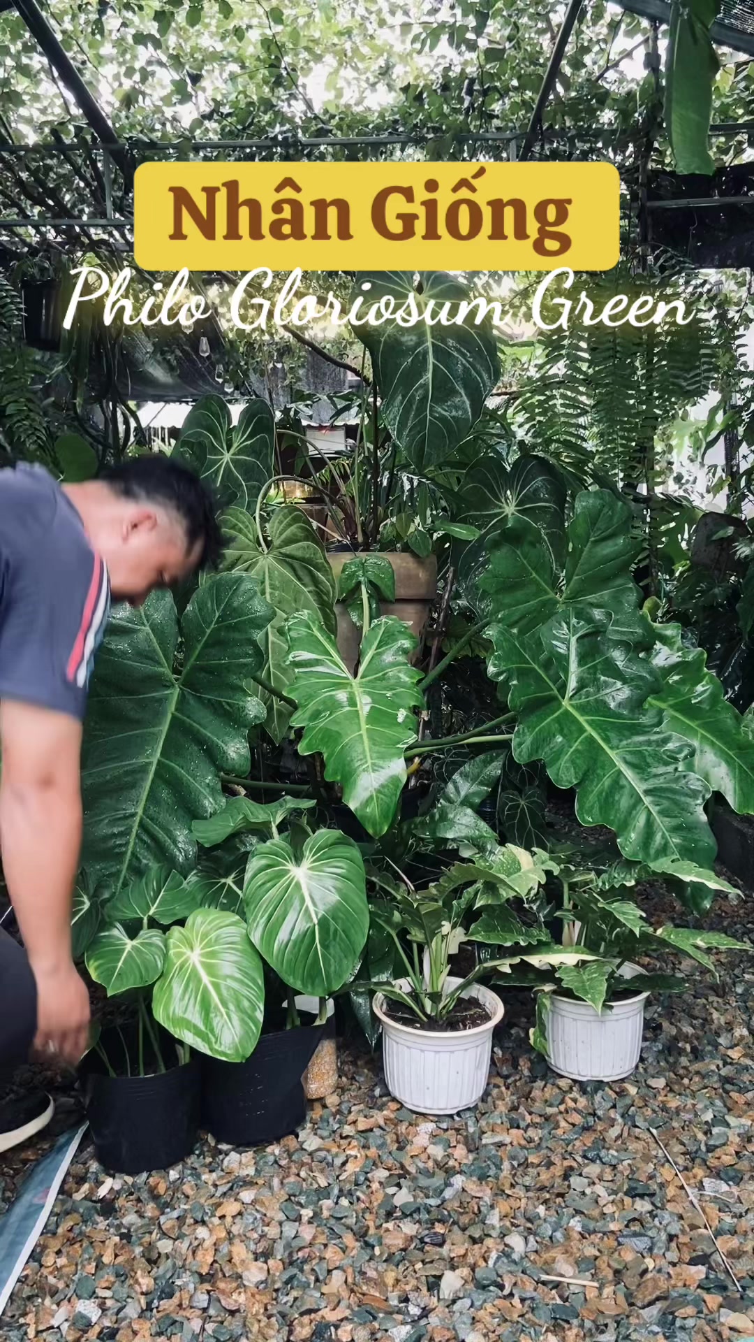 @Kid Garden Decor