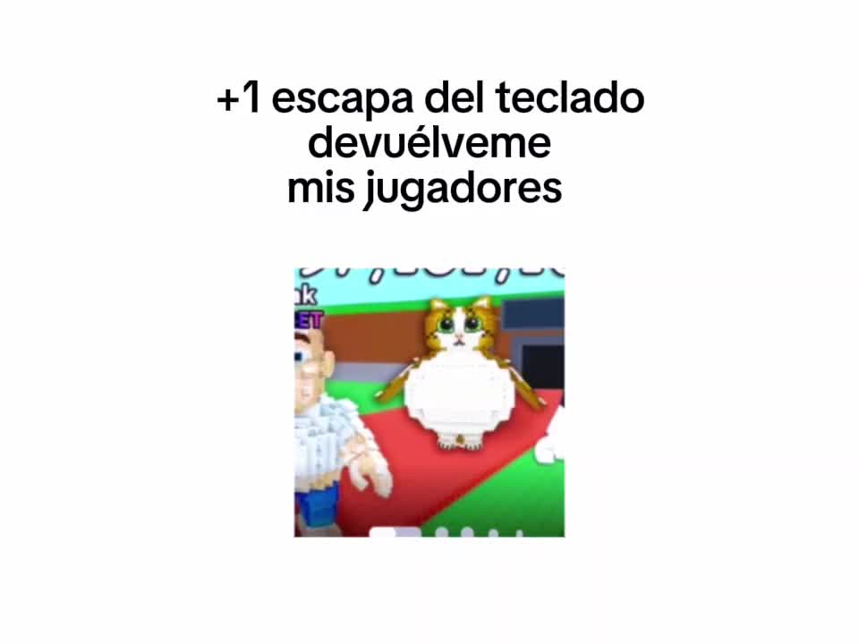 @CapyTacoo🧃