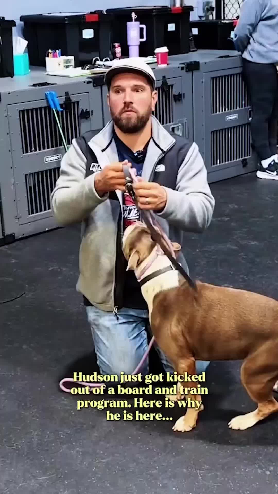 @Miracle K9 Training