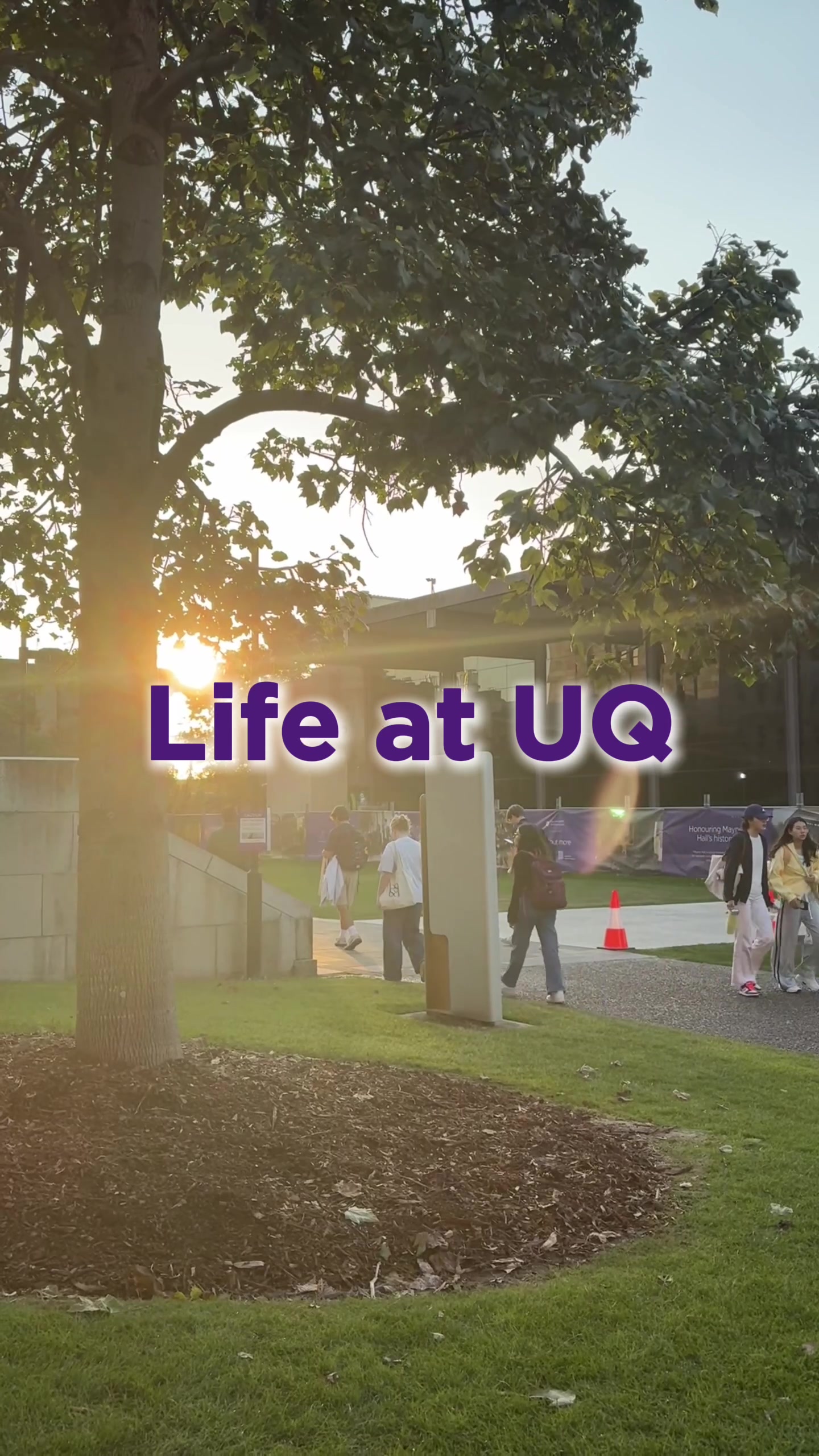 @The University of Queensland