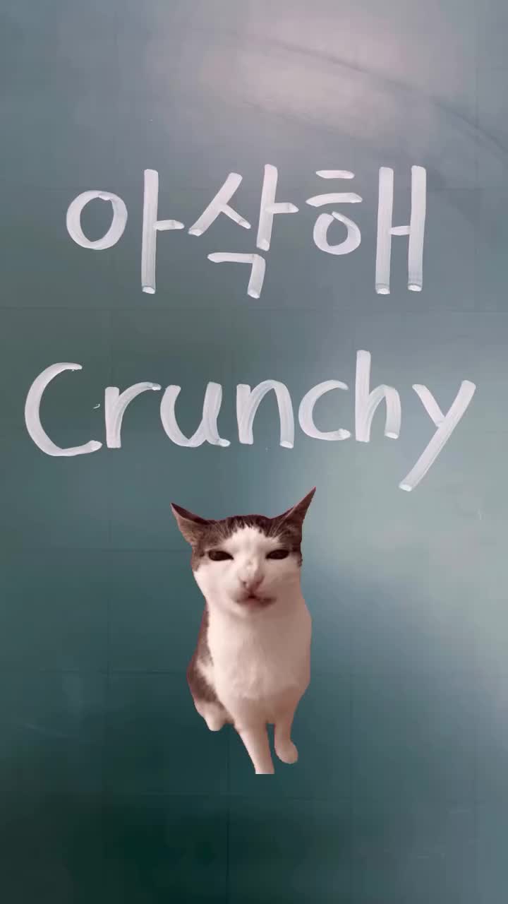 @Jin Young
