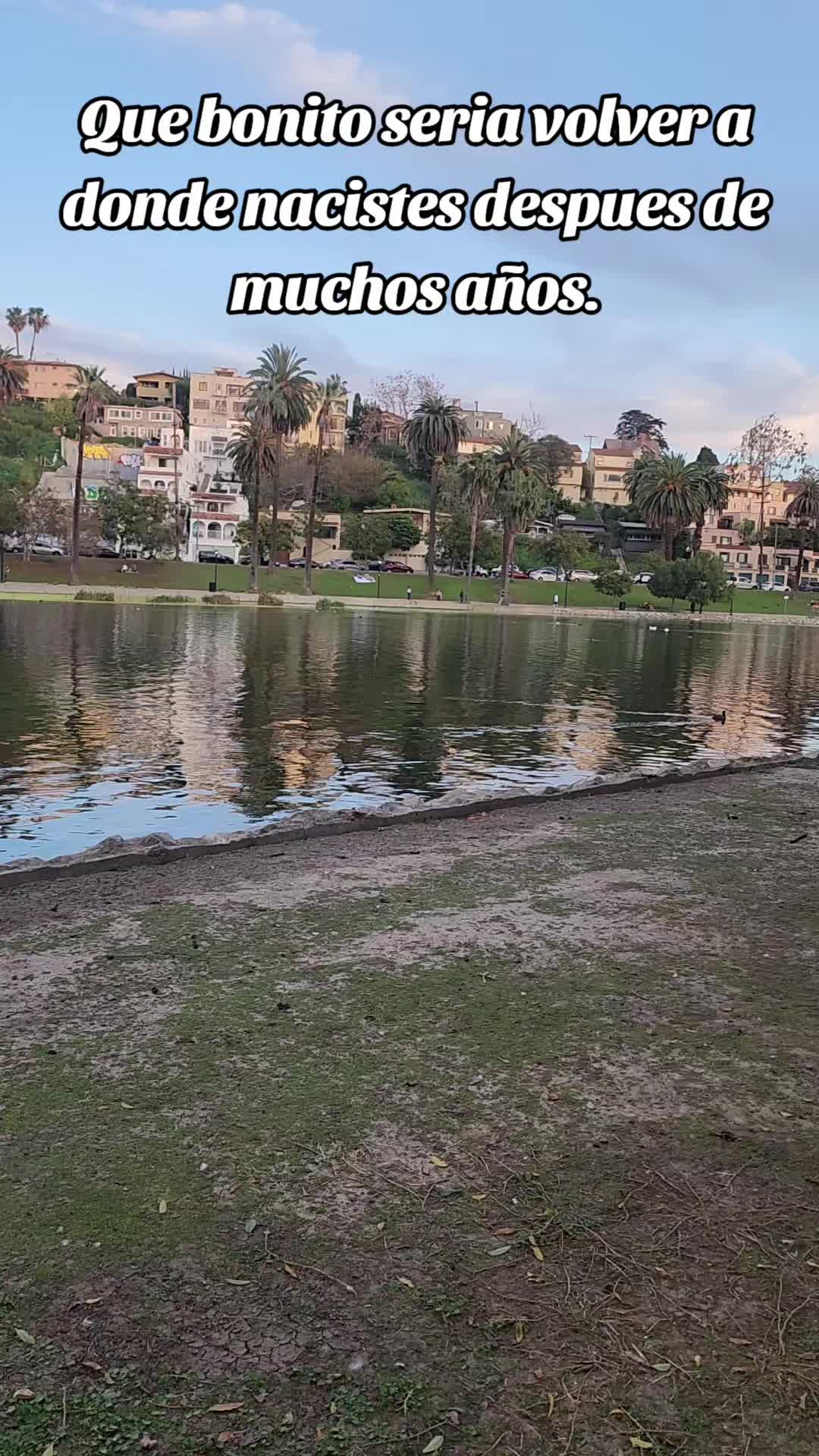 @Tebalopez13