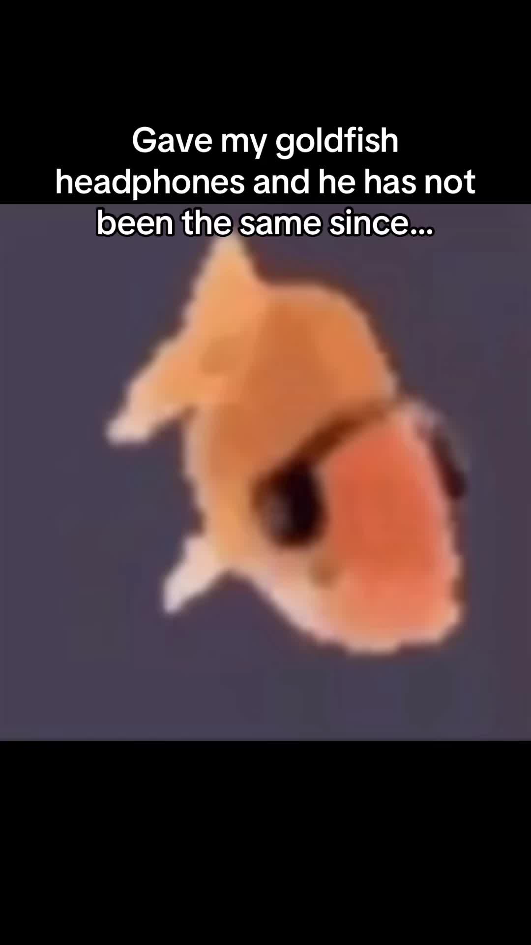 @joecommamomma