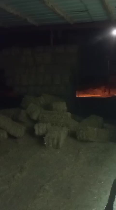 @Fikret Sarıkaya