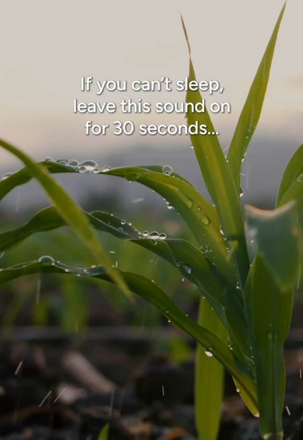 @Calm