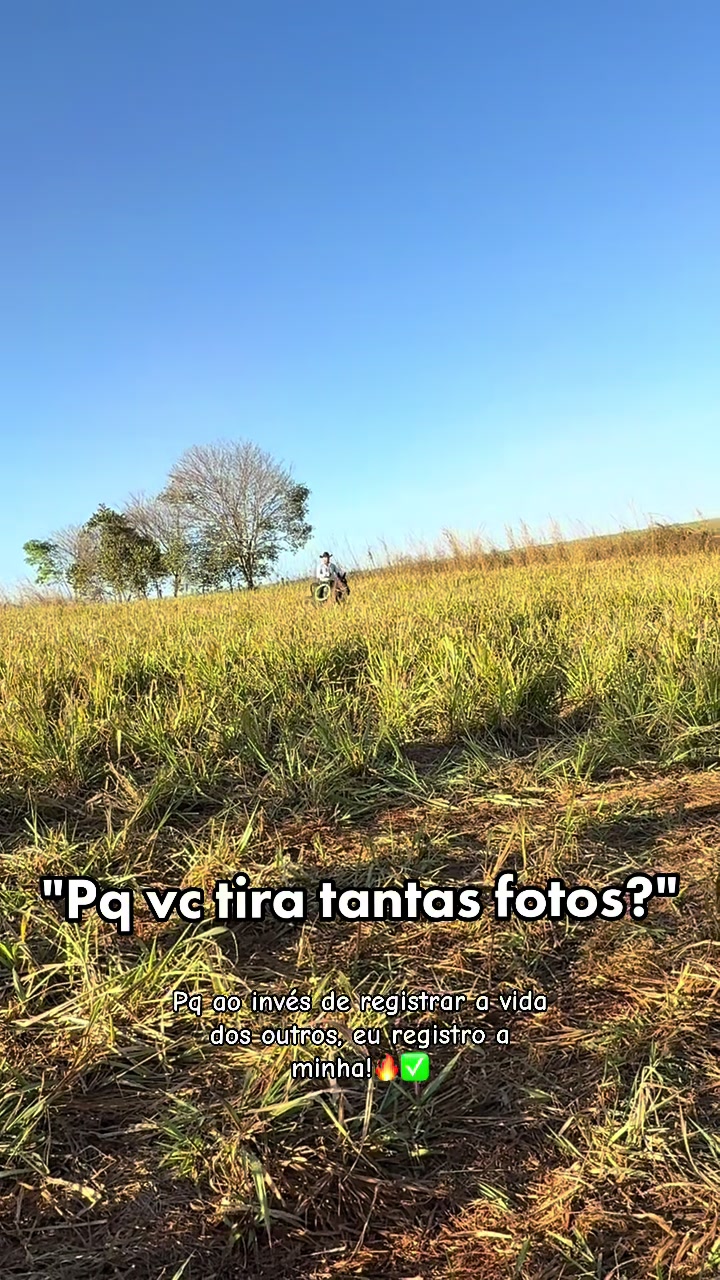 @mateusandrade9837